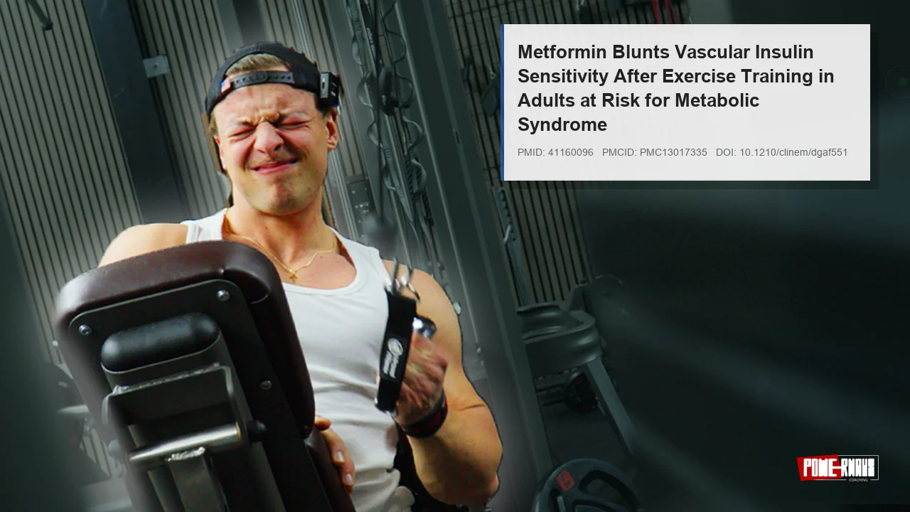 Metformin en training: remt het medicijn je resultaten? Nieuwe studies 2026